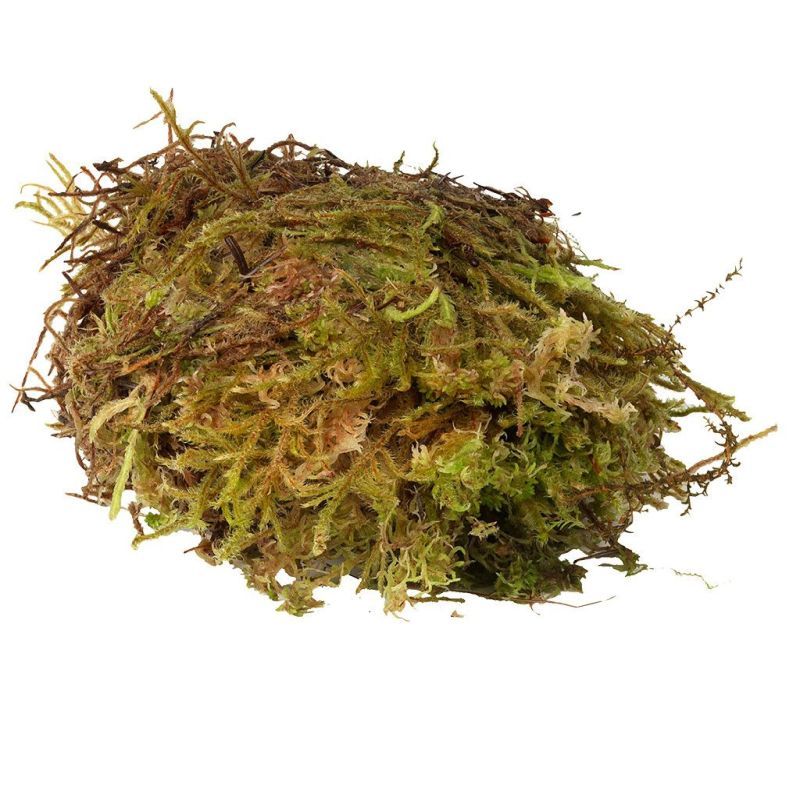 HabiStat Sphagnum Moss Small (250 Grams)