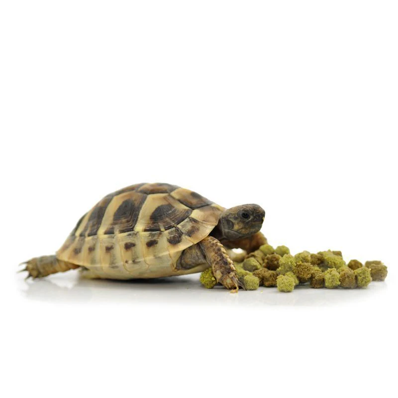 HabiStat Tortoise Food Fruit & Flower, 400g - Image 3