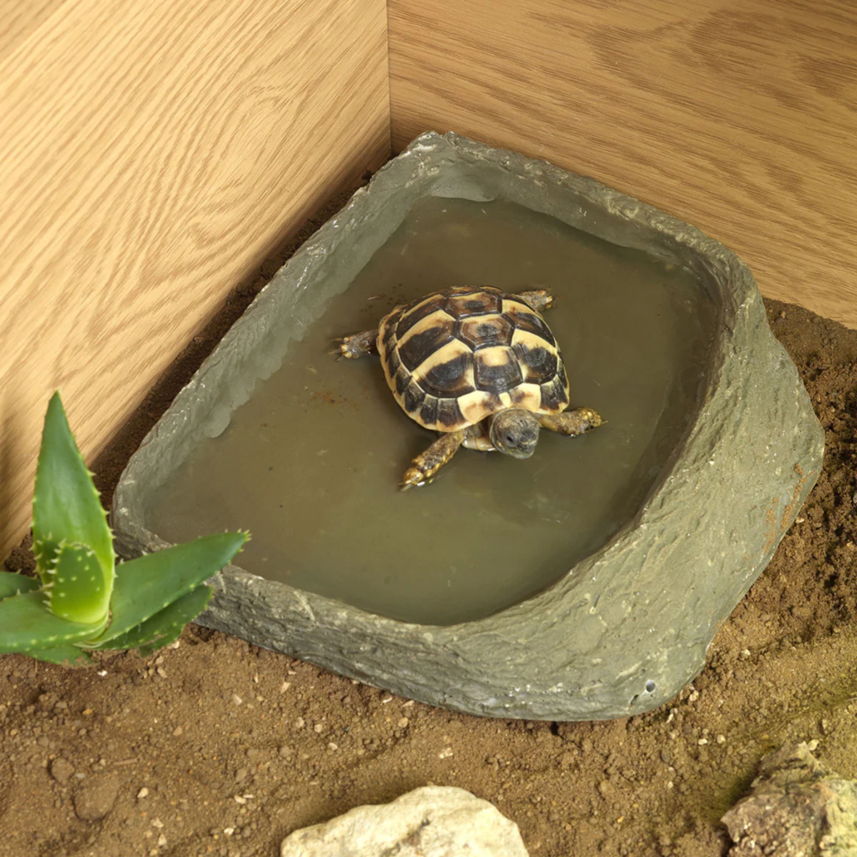 HabiStat Tortoise Pool Medium - Image 3