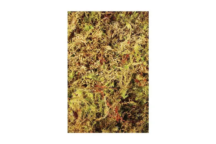 Komodo Habitat Moss Compact Brick Approx. 20 x 10.5 x 1.5 cm - Image 2