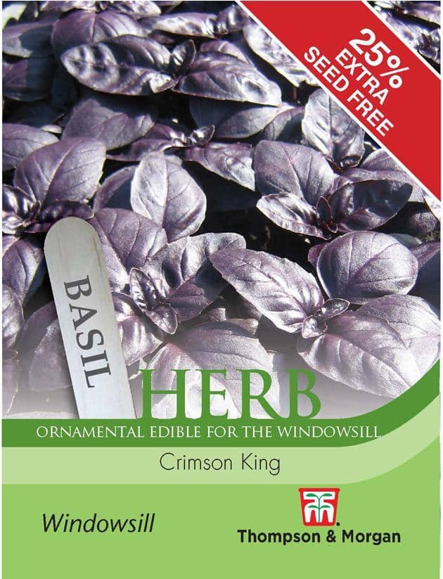 Basil 'Crimson King'