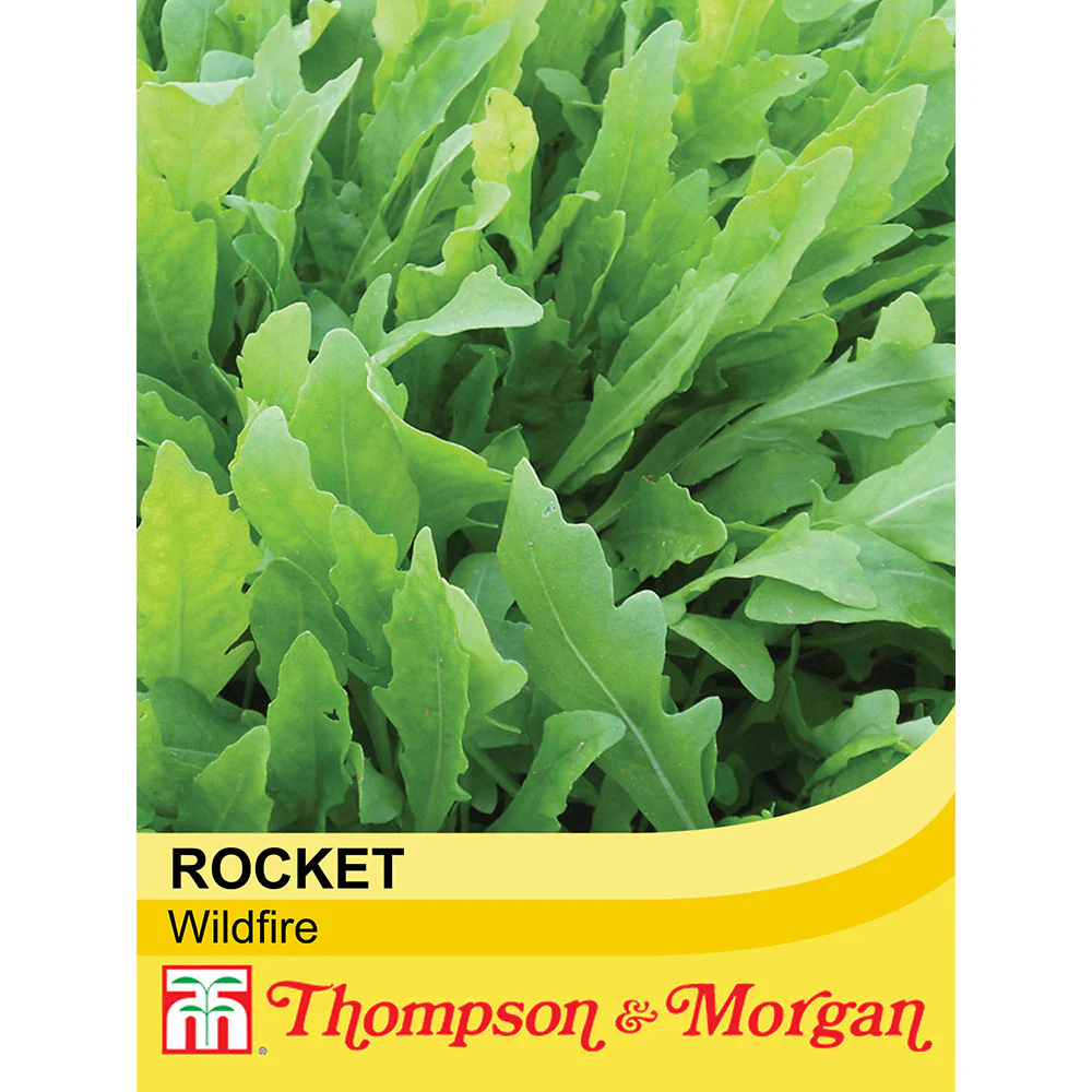 Rocket 'Wildfire'