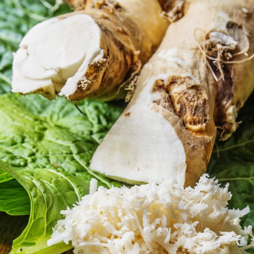 Horseradish - Image 2