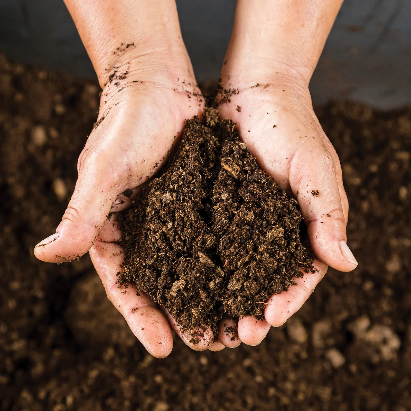 Kelkay Horticultural Grit Sand - Handy Pack 4kg - Image 3