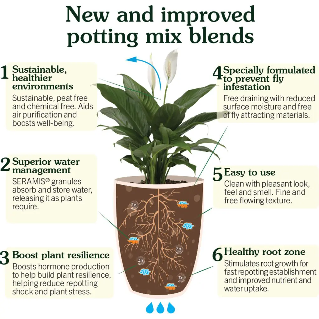 Houseplant Potting Mix 10 Litre - Image 3