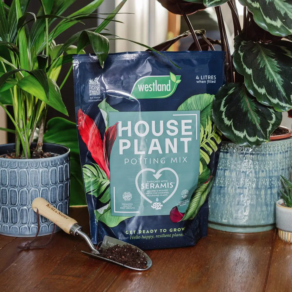 Westland Houseplant Potting Mix 4 Litre - Image 4