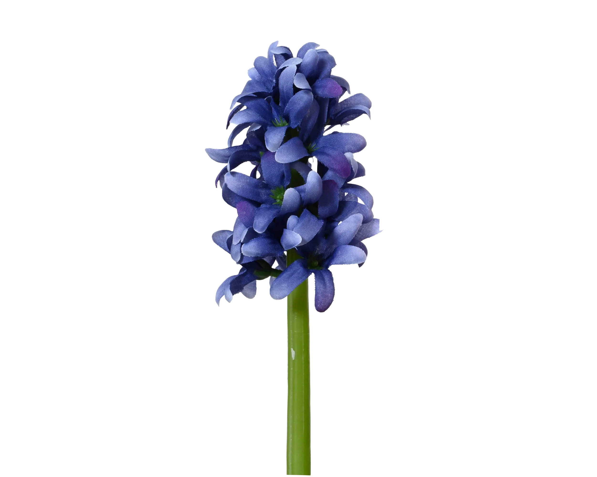 Hyacinth stem - sold separately - Image 2