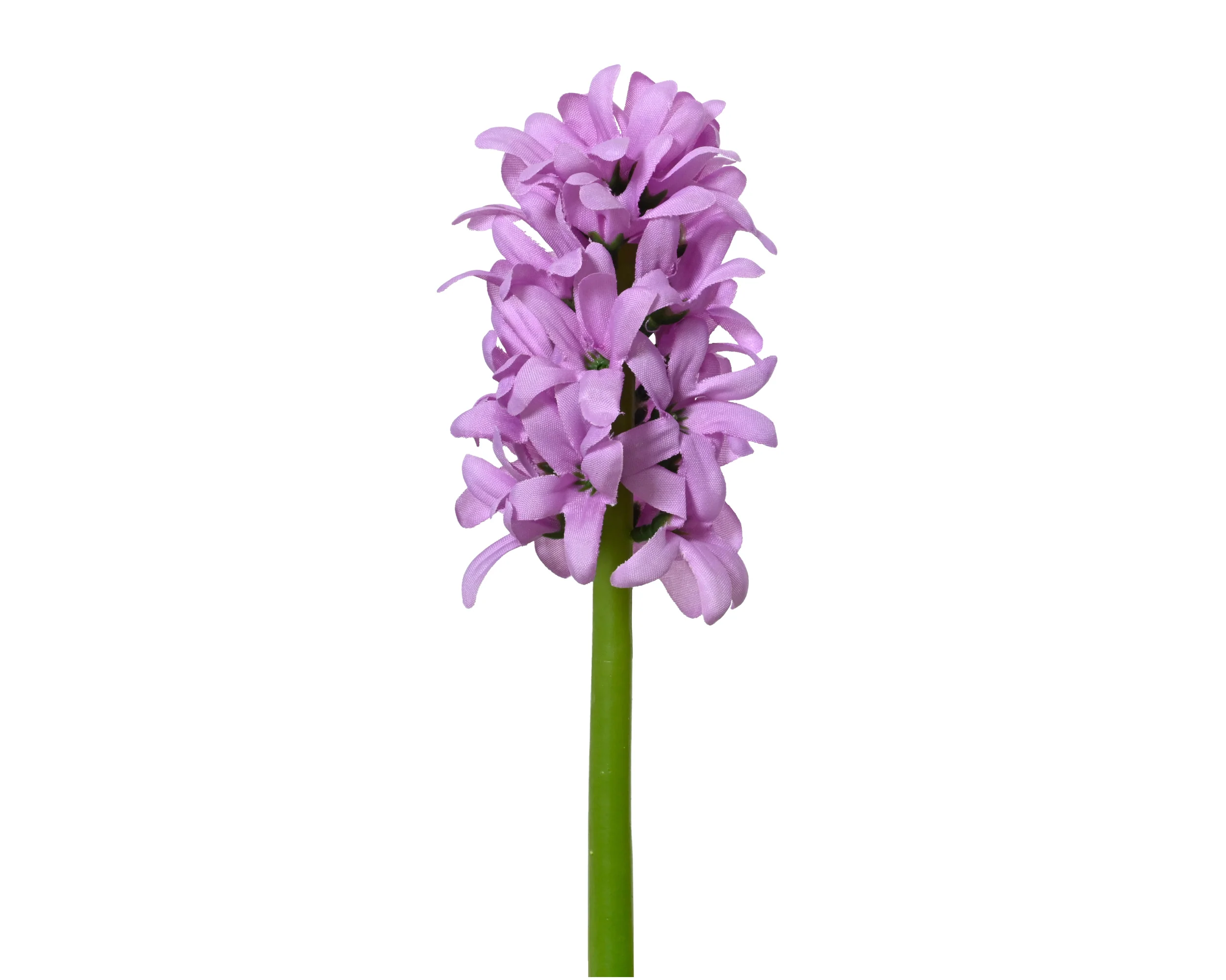 Hyacinth stem - sold separately - Image 3