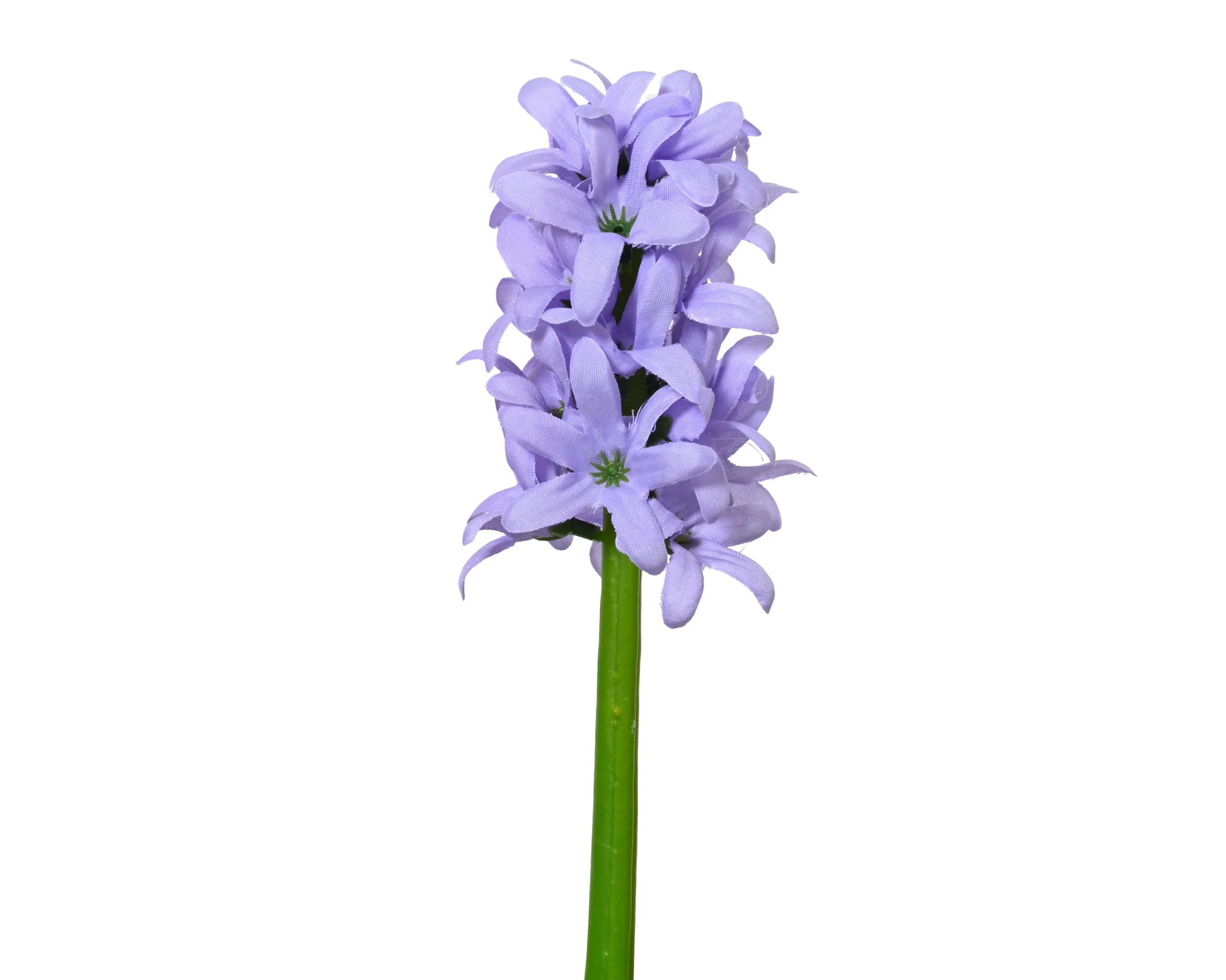 Hyacinth stem - sold separately - Image 4