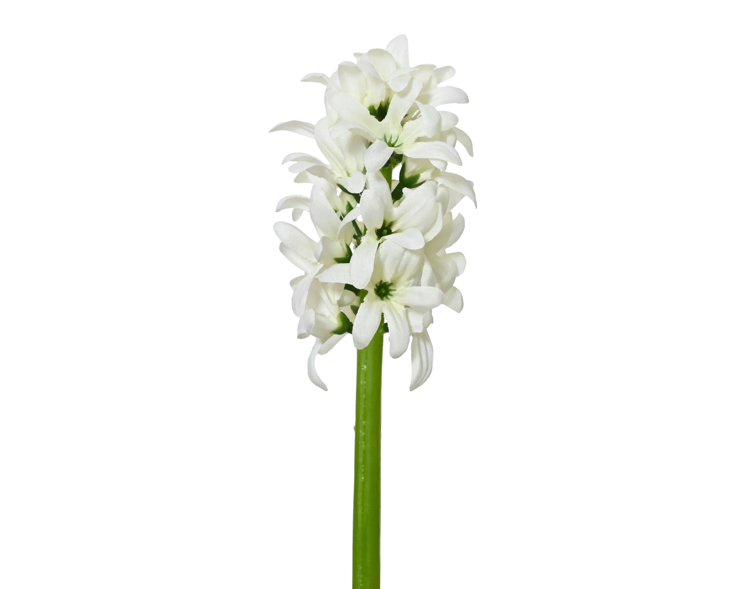 Hyacinth stem - sold separately - Image 5