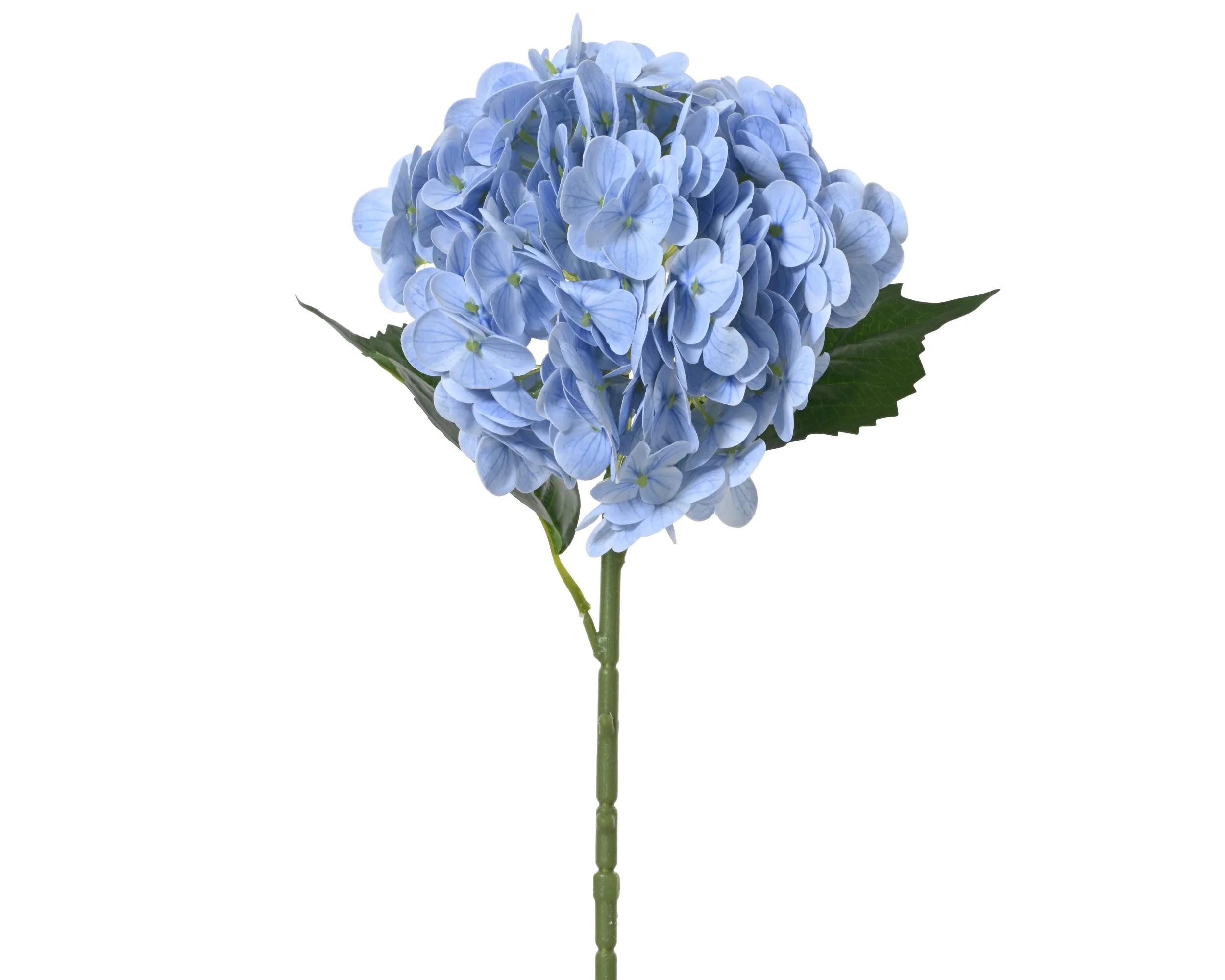 Hydrangea real touch