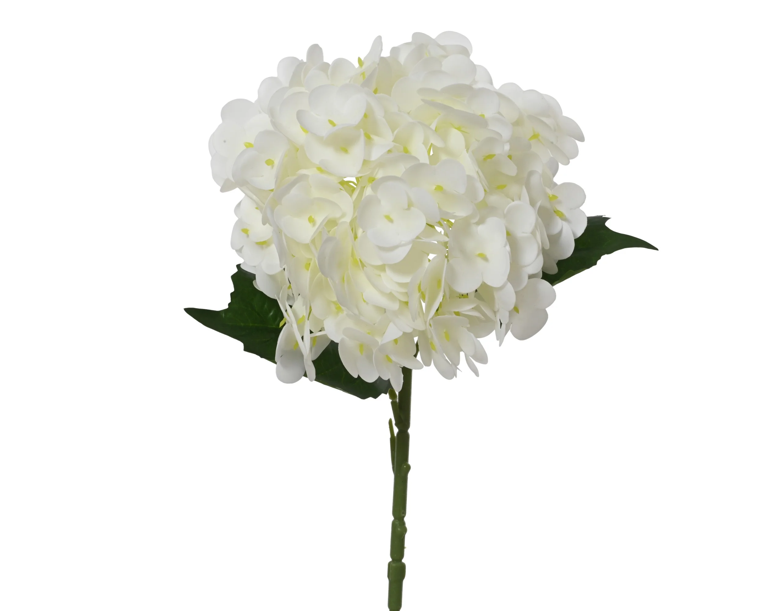 Hydrangea real touch