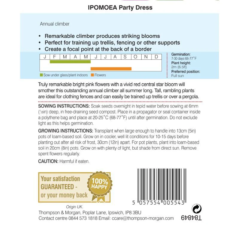 Ipomea Party Dress - Image 2
