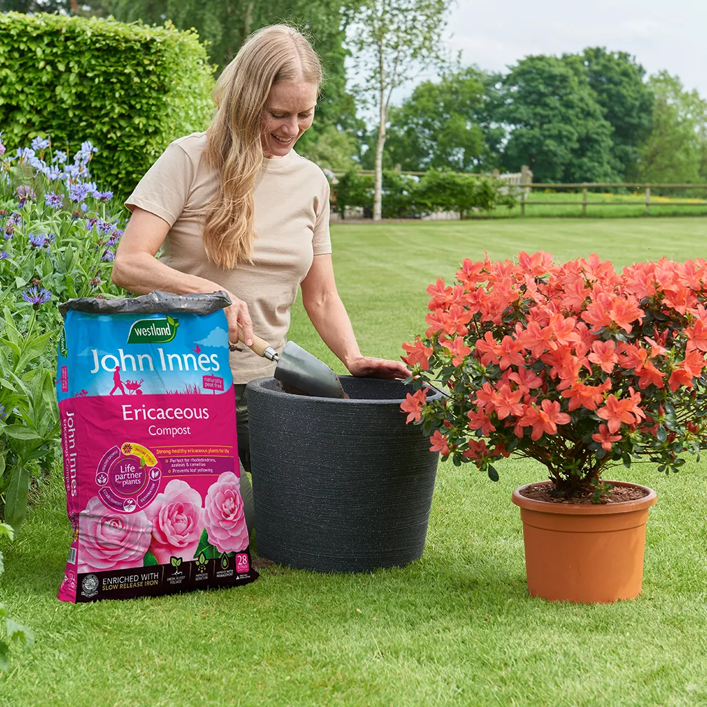 John Innes Peat Free Ericaceous Compost 28L - Image 3