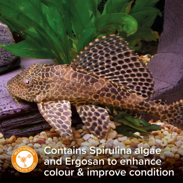 King British Plecostomus Tabs 150g - Image 5