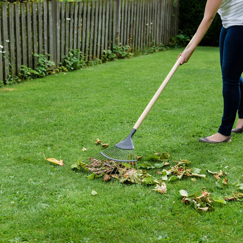 Kent and Stowe Carbon Steel Long Lawn and Leaf Rake - Image 2