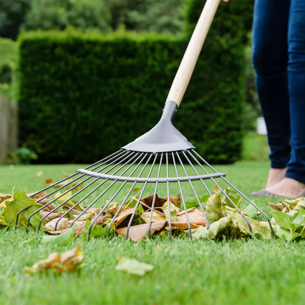 Kent and Stowe Carbon Steel Long Lawn and Leaf Rake - Image 3