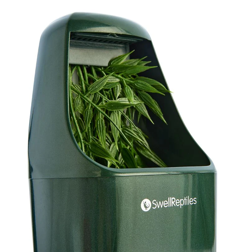 Komodo Fountain & Humidifier - Image 2