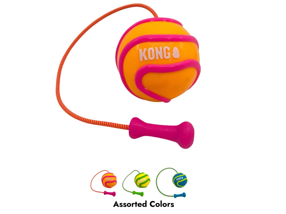 KONG Bunji High Viz Ball Asst Large - Image 2