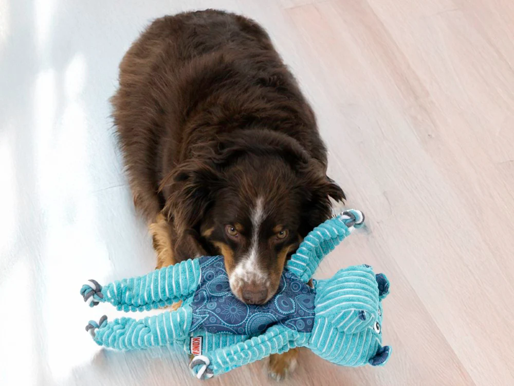 KONG Floppy Knots Hippo Jumbo XL - Image 2