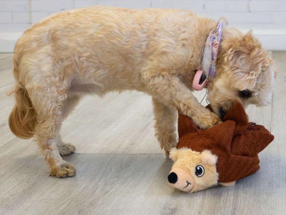 KONG Layerz Forage Hedgehog Medium - Image 2
