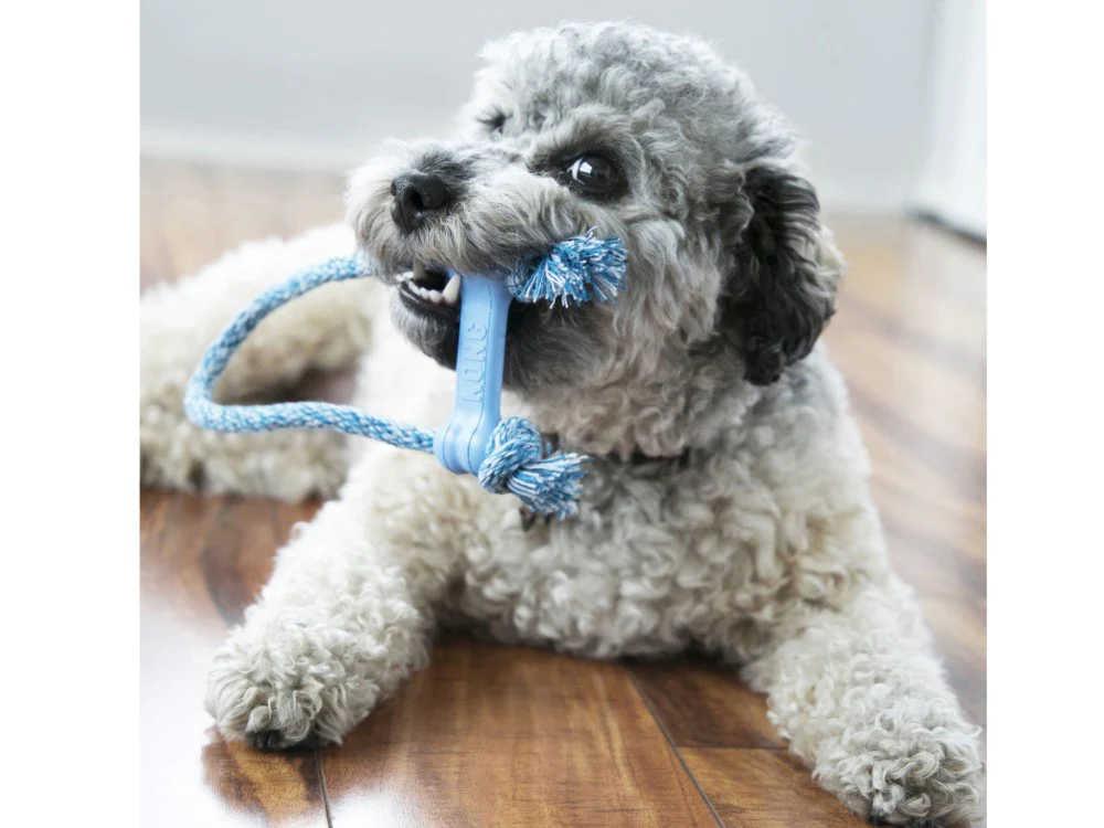 Kong Puppy Goodie Bone With Rope Extra Small - Image 3