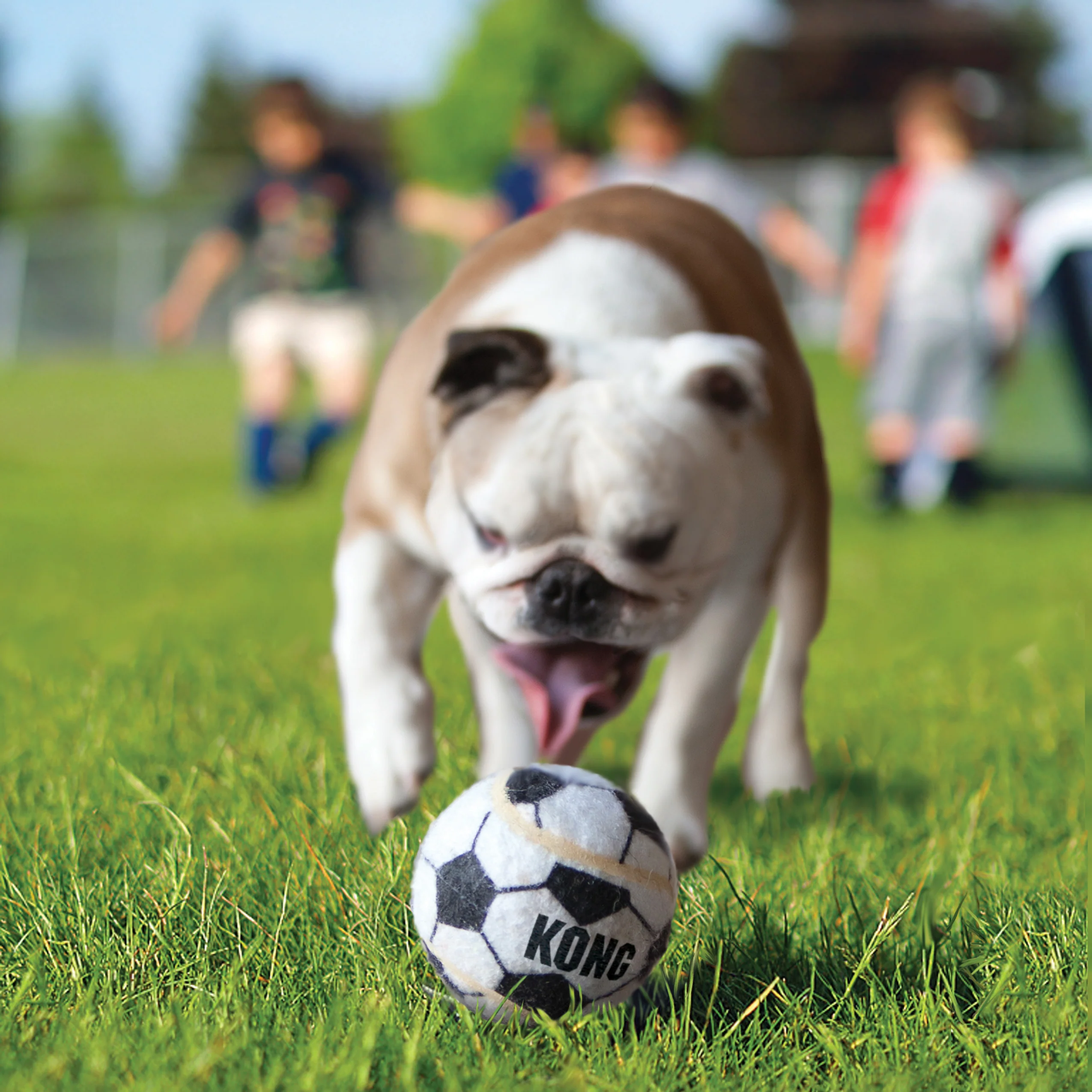 KONG Sports Ball Small 3pk - Image 2