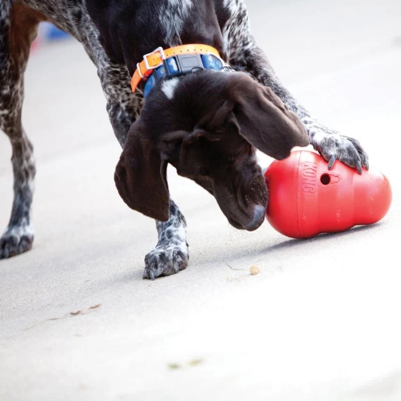 KONG Wobbler (Small) - Image 2
