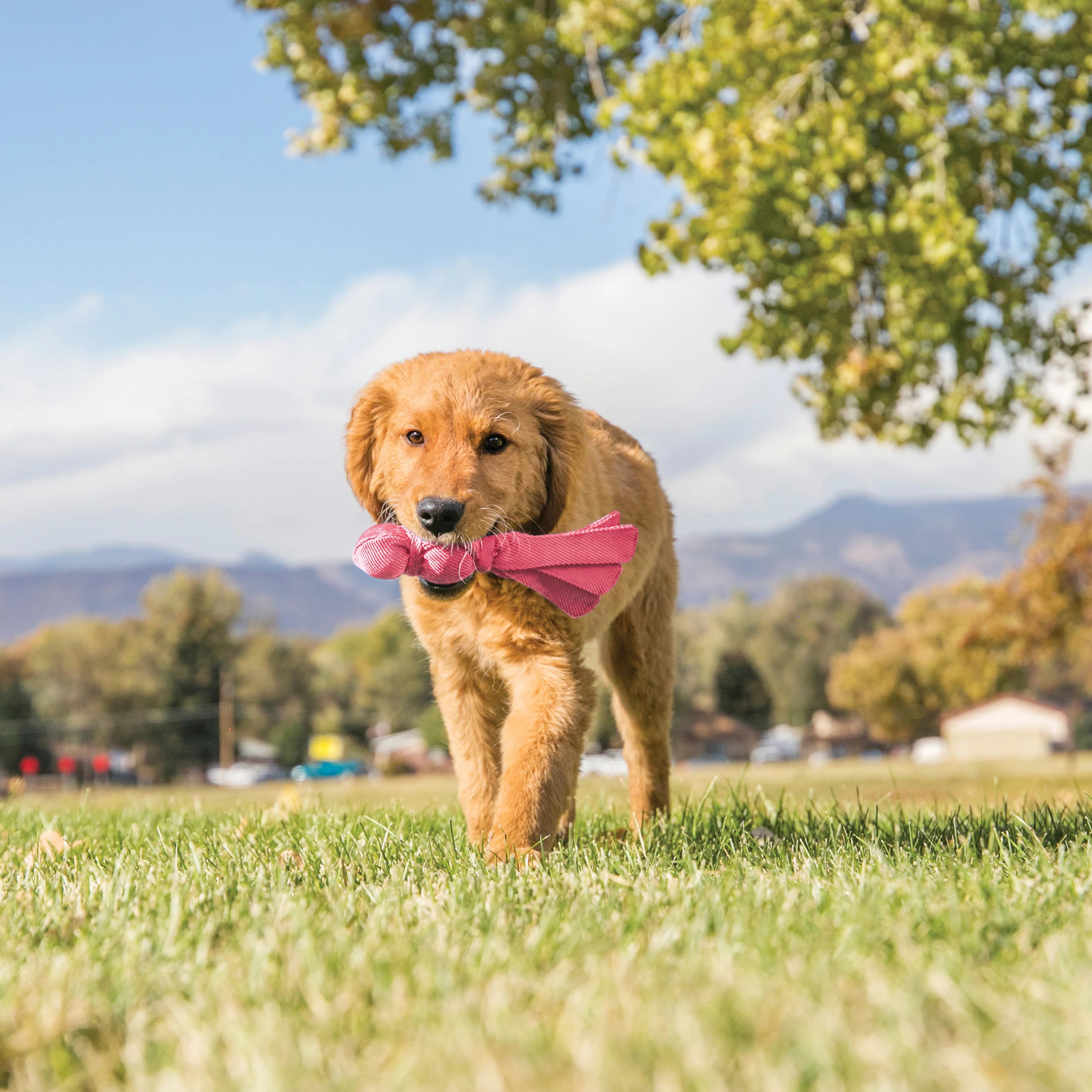 KONG Wubba Puppy - Image 2