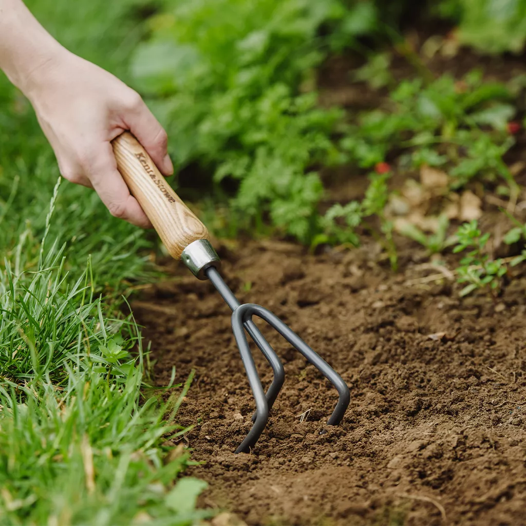 Kent & Stowe Carbon Steel Hand 3 Prong Cultivator - Image 2