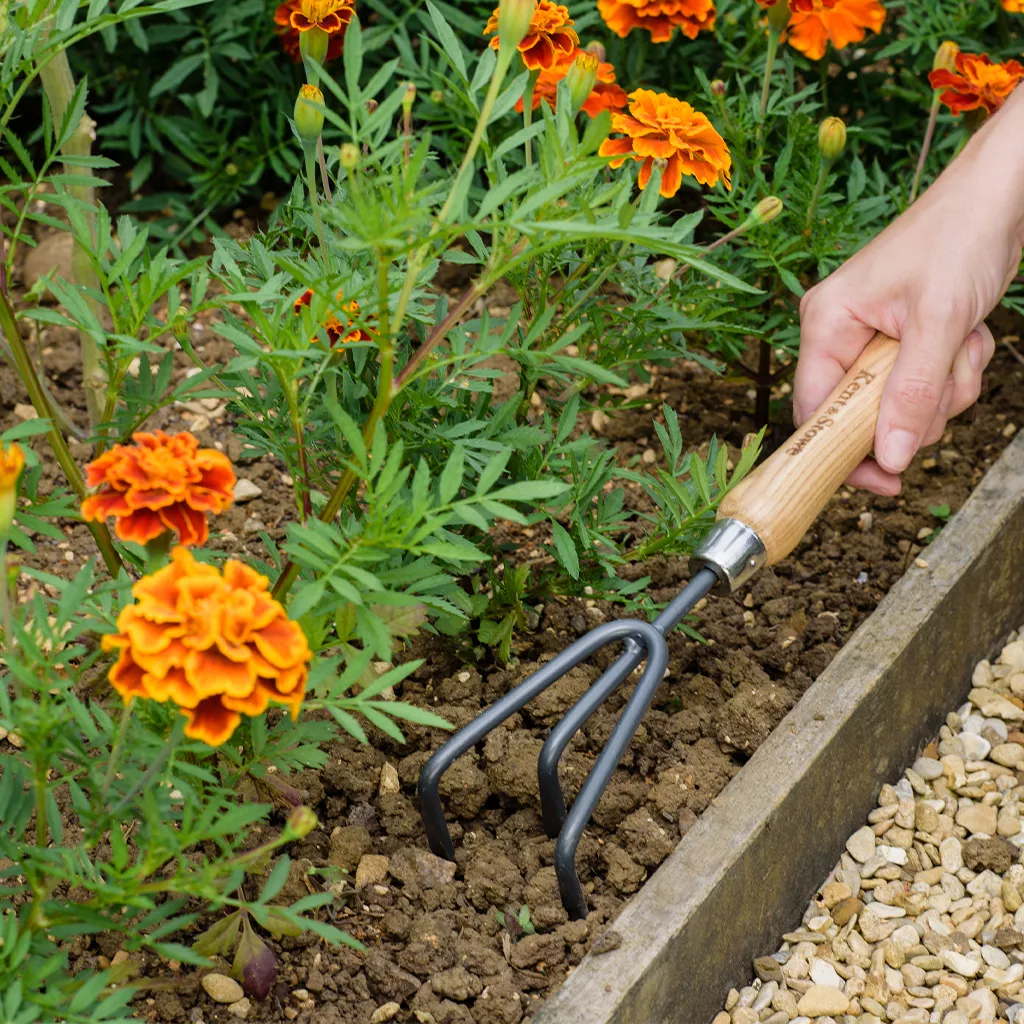 Kent & Stowe Carbon Steel Hand 3 Prong Cultivator - Image 3