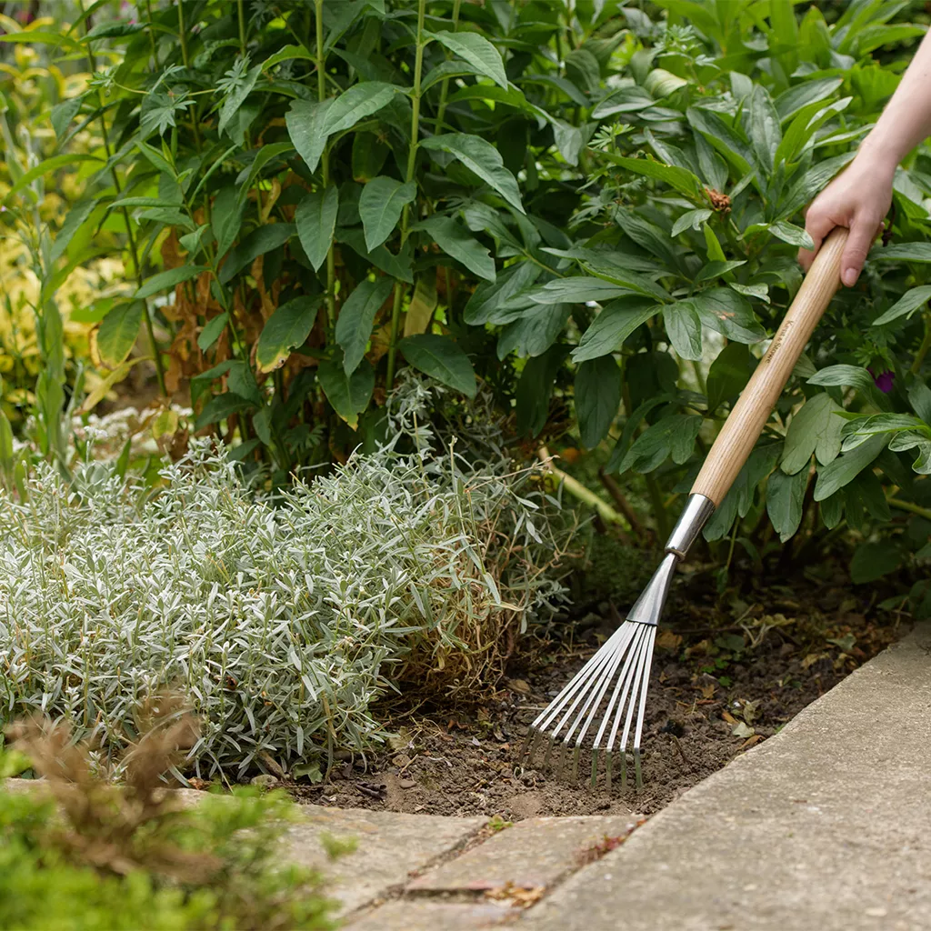 Kent & Stowe Stainless Steel Border Hand Shrub Rake - Image 2