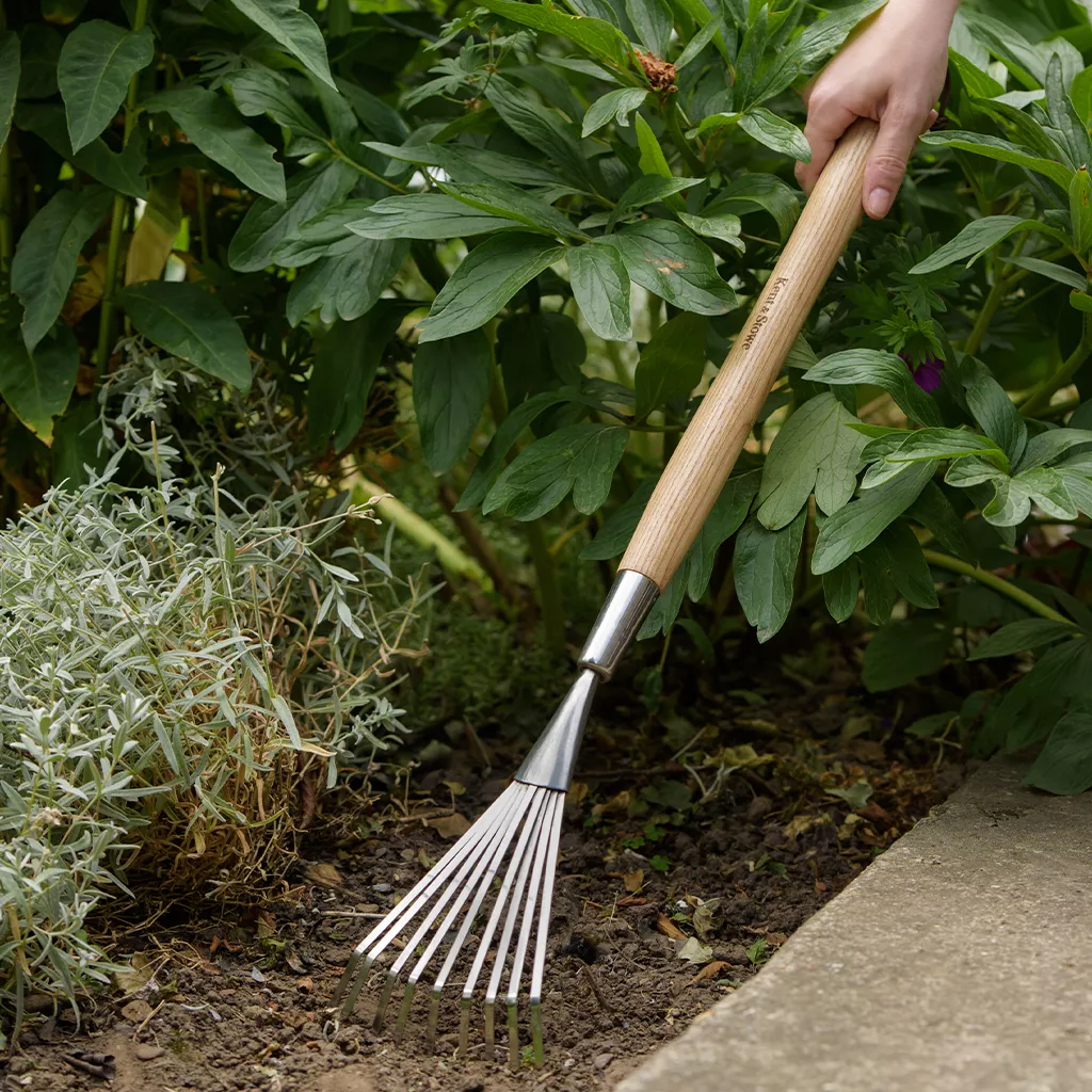 Kent & Stowe Stainless Steel Border Hand Shrub Rake - Image 3