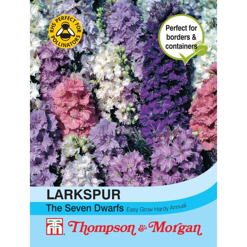 Larkspur The Seven Dwarfs - Image 2
