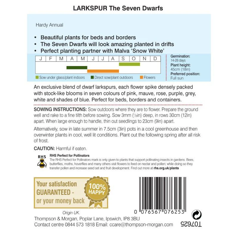 Larkspur The Seven Dwarfs - Image 3