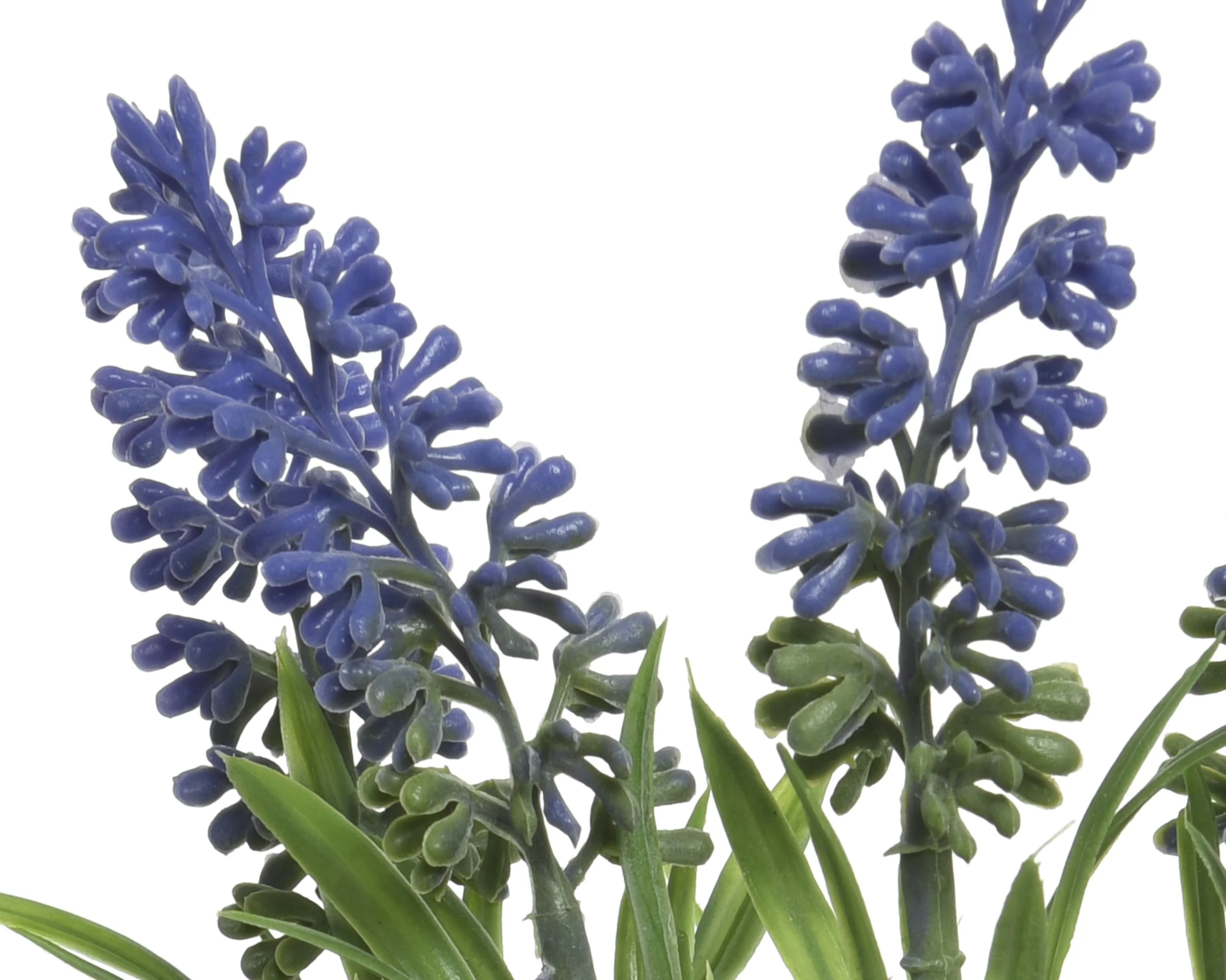 Lavender stems - Image 2