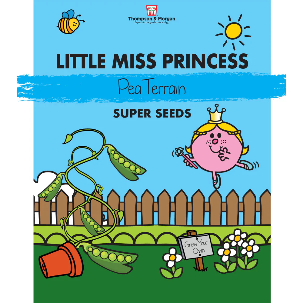 Mr. Men™ Little Miss™ - Little Miss Princess - Pea 'Terrain'
