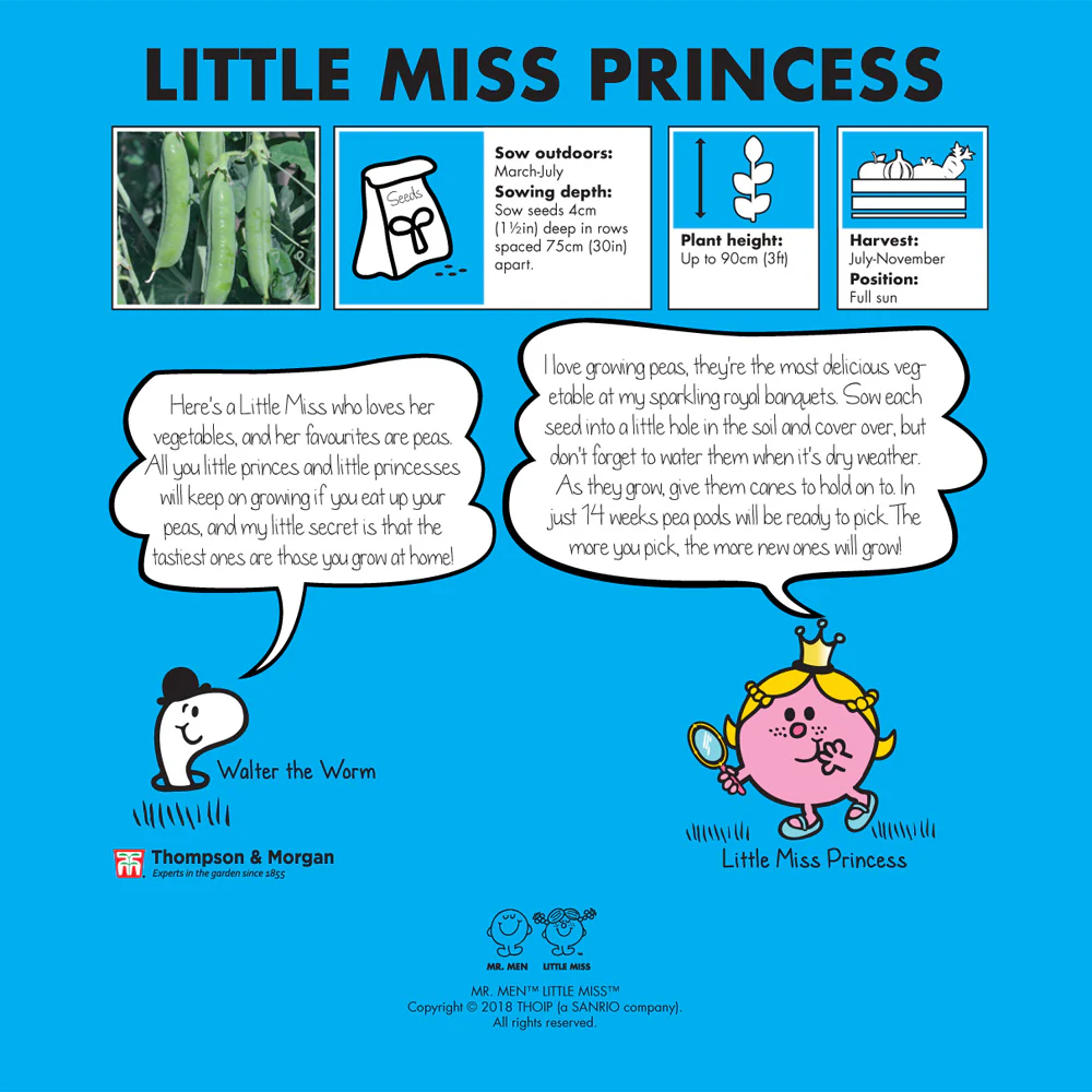 Mr. Men™ Little Miss™ - Little Miss Princess - Pea 'Terrain' - Image 2
