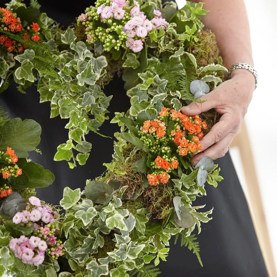 Living Plant Wreath - Image 3