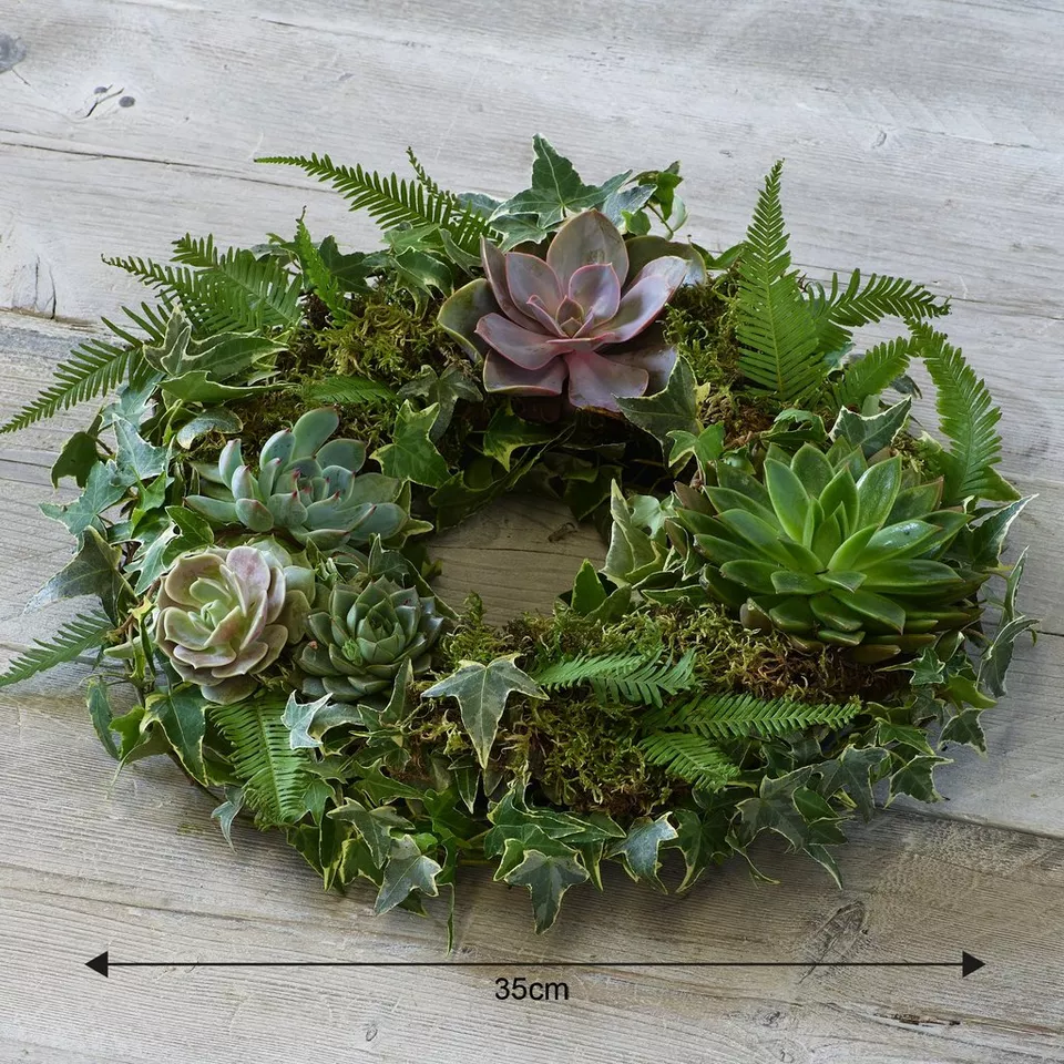 Living Succulent Wreath - Image 2