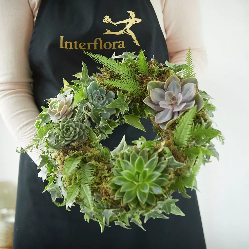 Living Succulent Wreath - Image 3