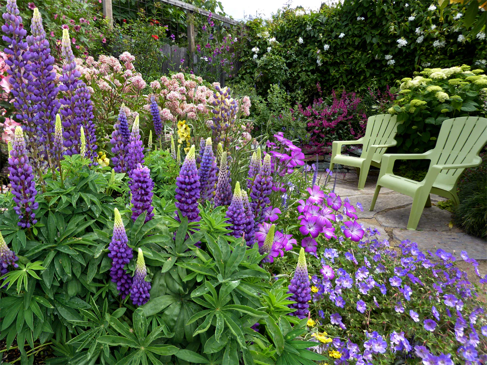 Lupin Gallery Blue 2L - Image 2