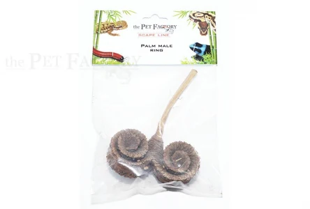 Male Palm Ring