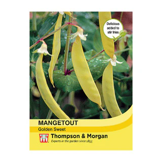 Mangetout Golden Sweet