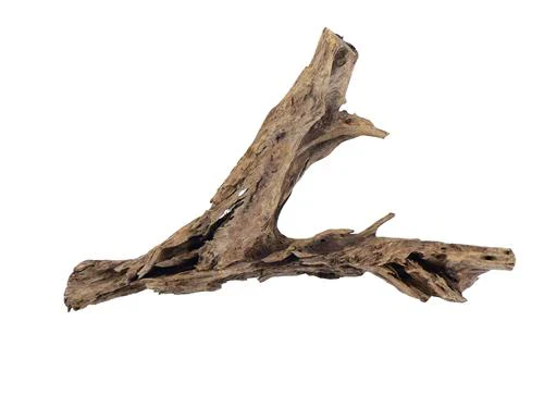 Mangrove Wood XX Large 50-65cm
