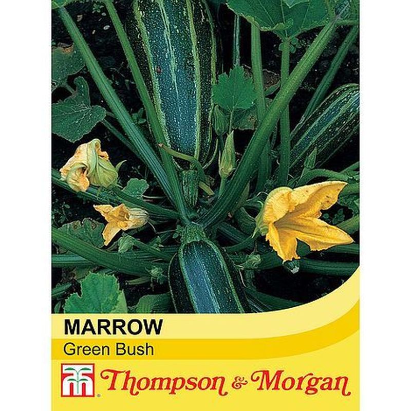 Marrow Green Bush Seeds