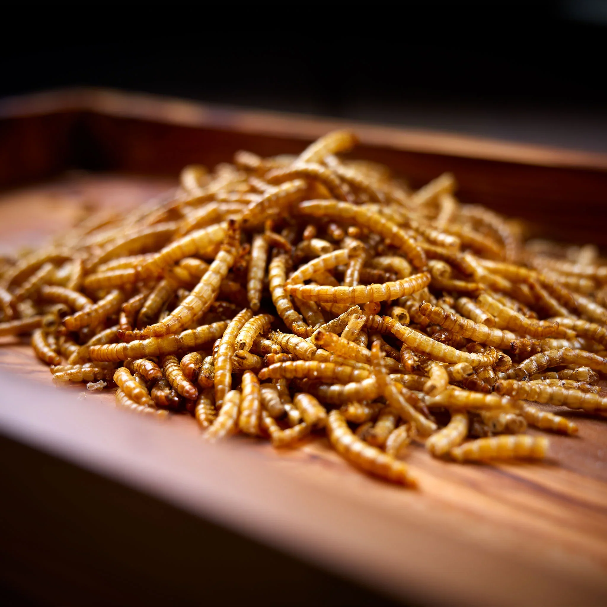 Peckish Mealworm 1kg - Image 2