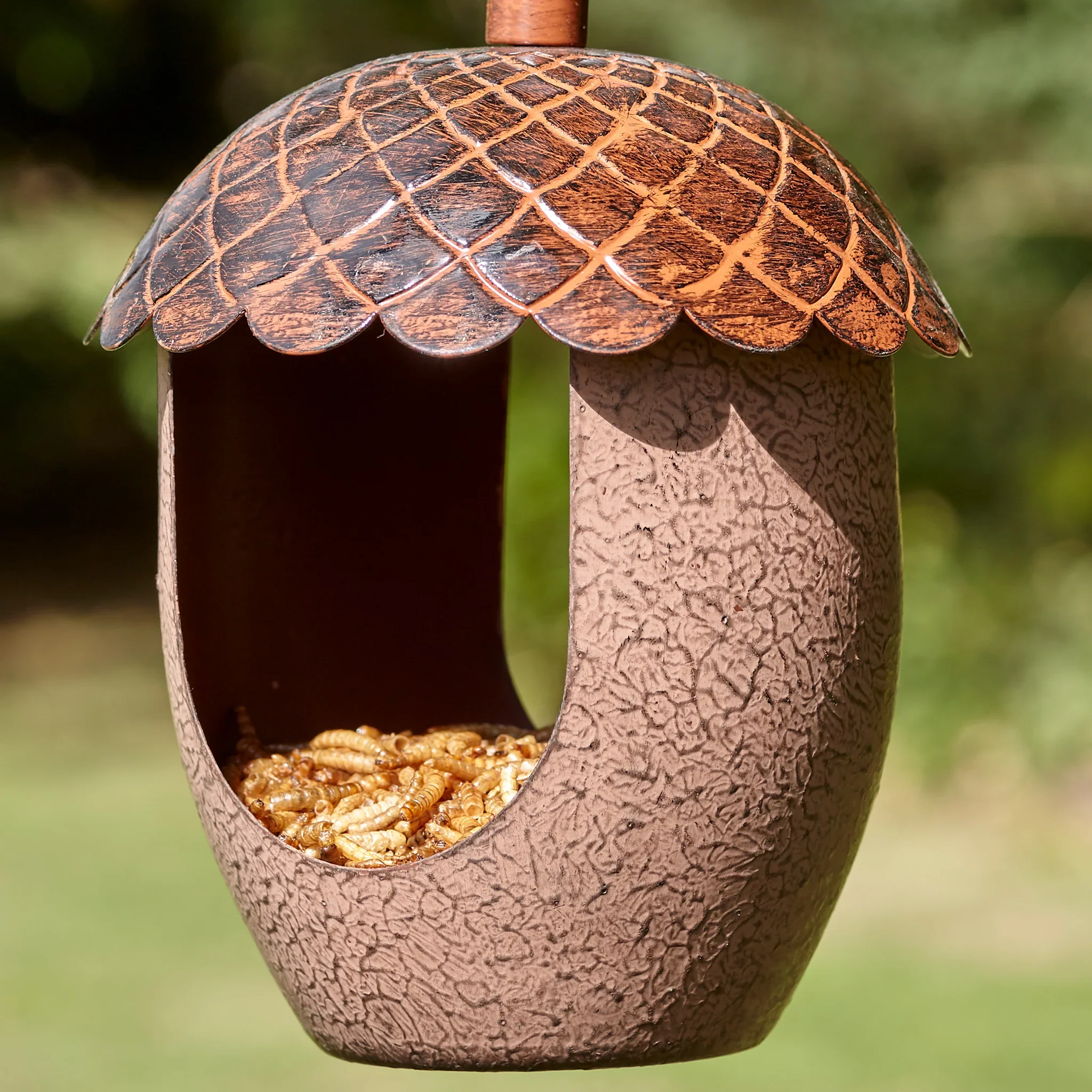 Peckish Mealworm 1kg - Image 4