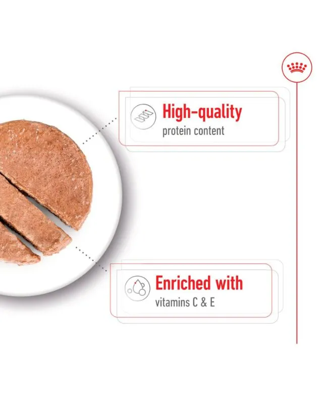 Royal Canin Medium Adult Wet Dog Food Cans In Loaf 410g - Image 3