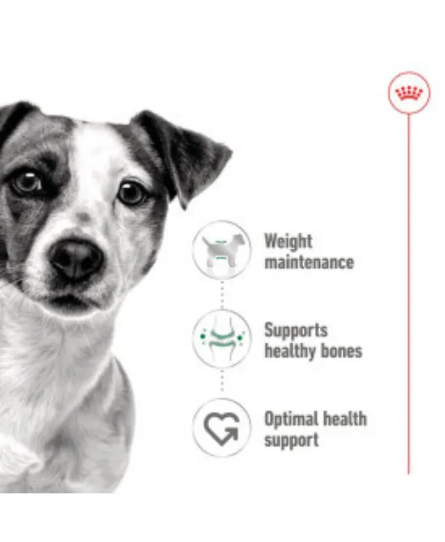 Royal Canin Mini Adult Wet Small Dog Food Cans In Loaf 195g - Image 4
